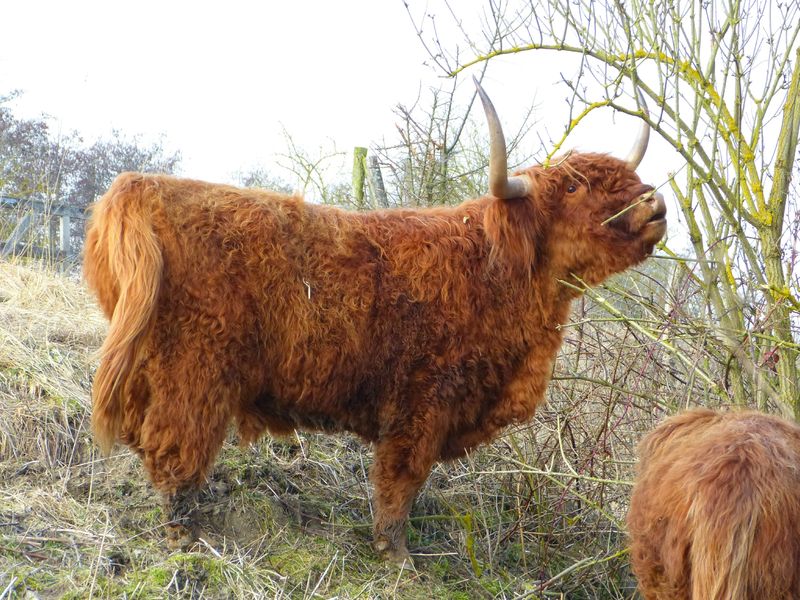 rencontre blangy sur bresle