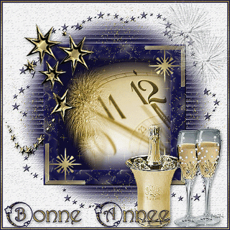 Bonne Annee 2011