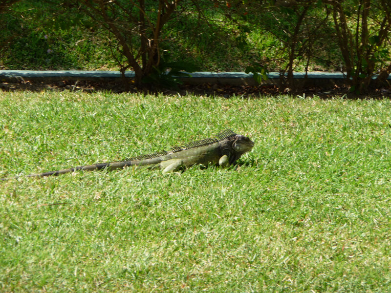 P1070889