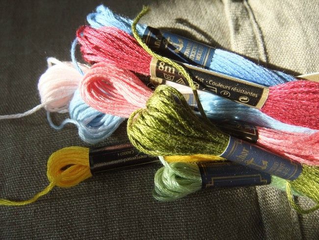 année photo 20111107