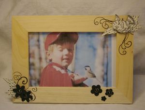 cadre_oiseaux