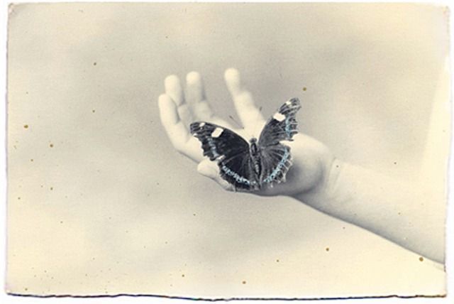 Masao Yamamoto Photography