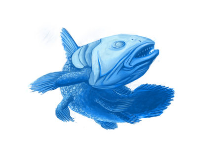 coelacante