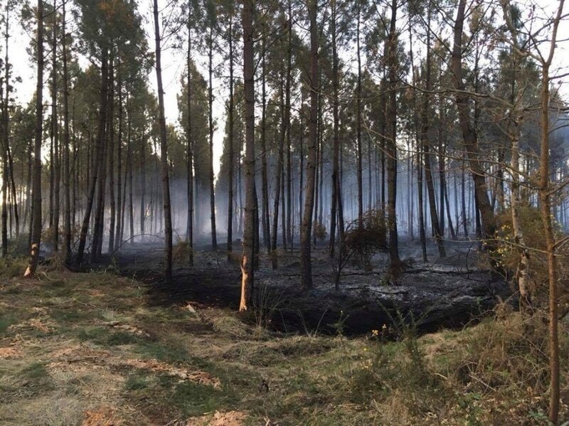 incendie-5