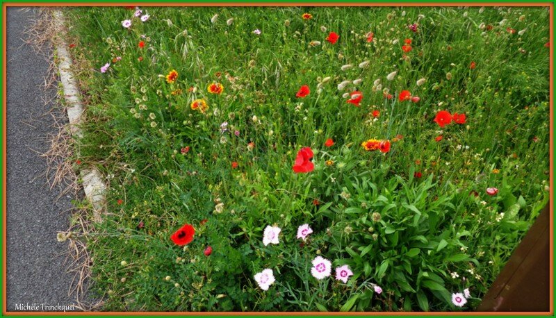 rencontres
