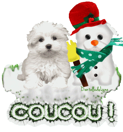 Image associée