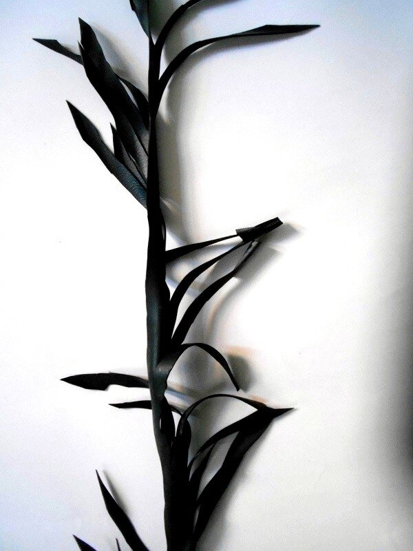 Image_