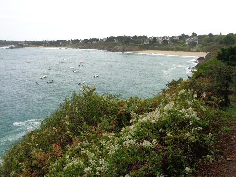 dinard
