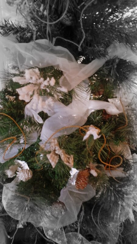 20151226_113338.JPG