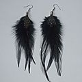 f) Plumes / Feather