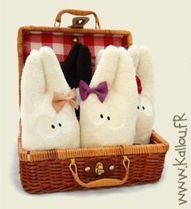 picnicyoumi