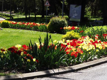floraison