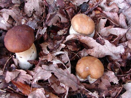 Photo_782