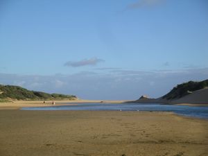DSC06181