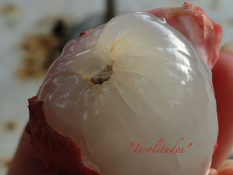 DSC00407_3