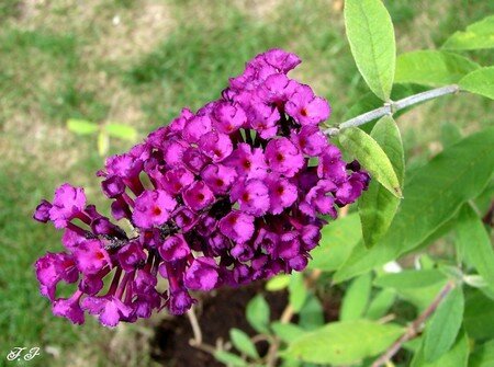 Photo_768