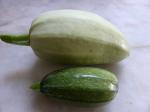 27-courgettes (2)