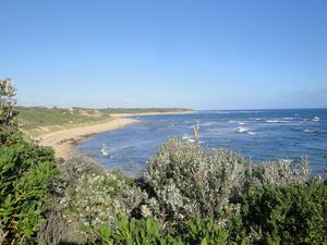 DSC06145