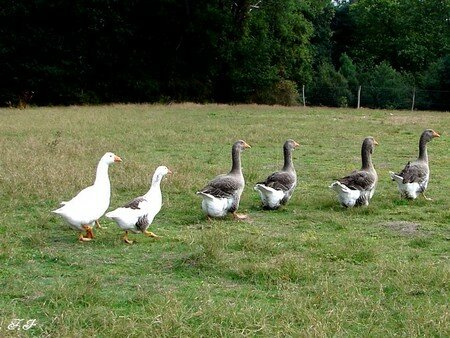 Photo_784