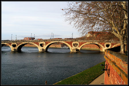 IMG_4182_border