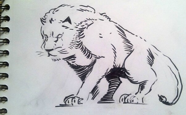 lion
