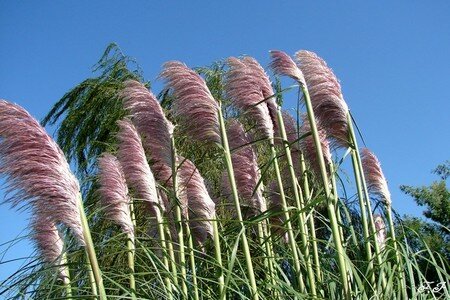 Photo_007