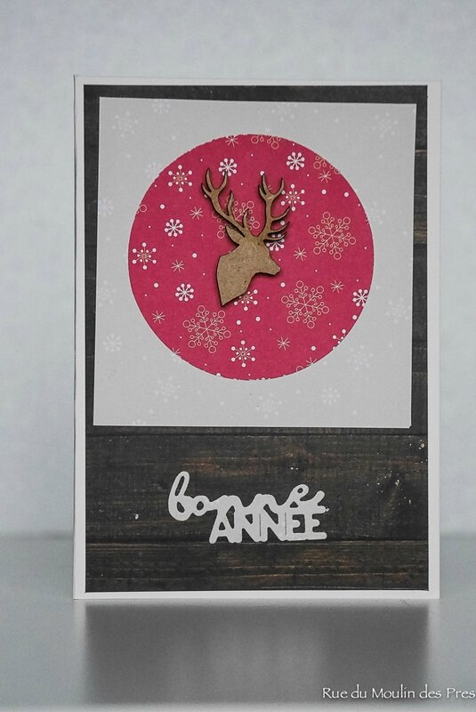 Voeux 2016 17 010