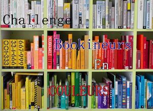 challenge-bookineurs-en-couleurs Liyah
