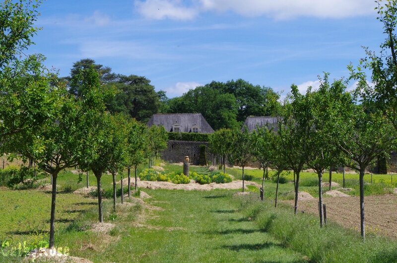&& château de Valmer (67)