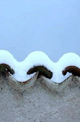 IMG_6830-001 IMG_6830-001