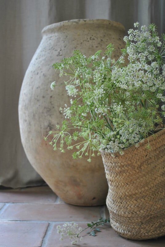 57799264[1] | Schöne blumen, Blühende pflanzen, Gartencontainer