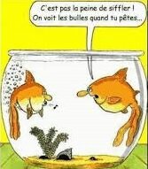 téléchargement (2)