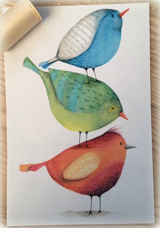 3 oiseaux colorés