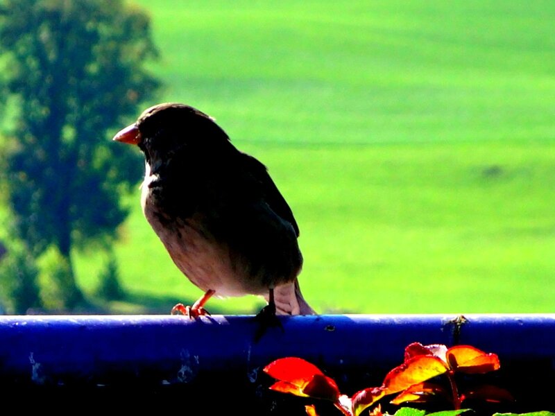 DSC01559