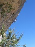 IMG_2260
