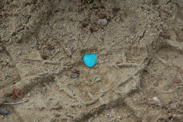 Le cœur en turquoise de Paul