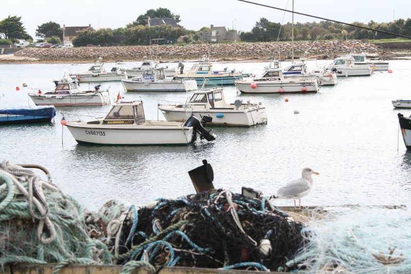 rencontre barfleur