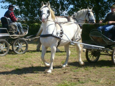Rencontres olhain