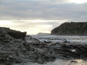 DSC06222