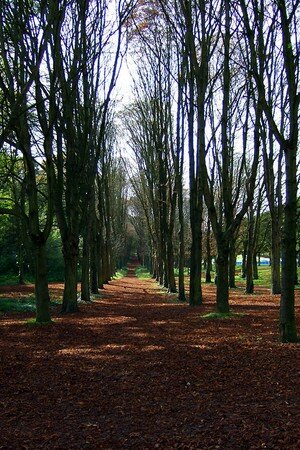 Sceaux_013