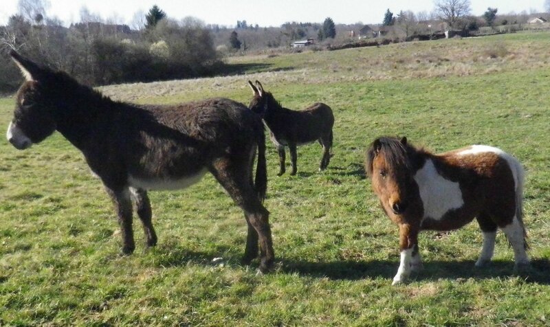 rencontre magnac bourg