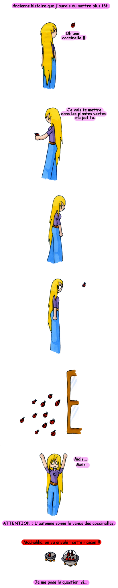 coccinelle