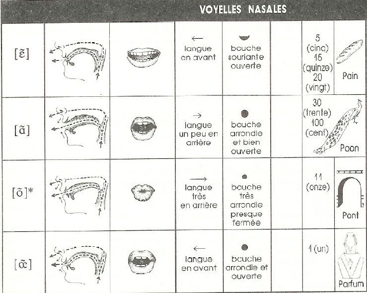 Les voyelles nasales - 1re du niveau intermédiaire (B1).