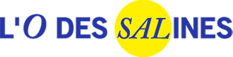 logo eau des salines