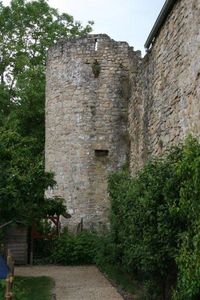 IMG_6566