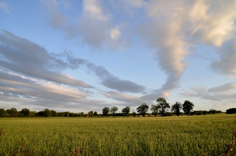 commentaire le lys dans la vallée la rencontre