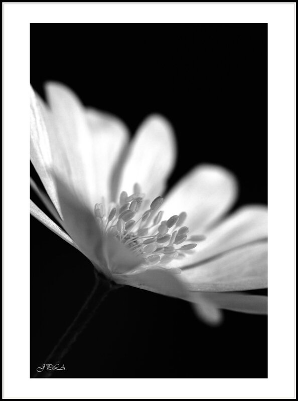 14 04 10 14 04 01 105macro 9604 b