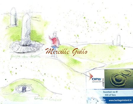 scan859