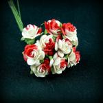 ROUGE BLANC