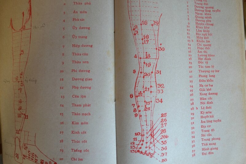 Acupuncture, Cẩm Nang Thực Hành Châm Cứu, 针灸大成, LIRES VIETNAMIEN,